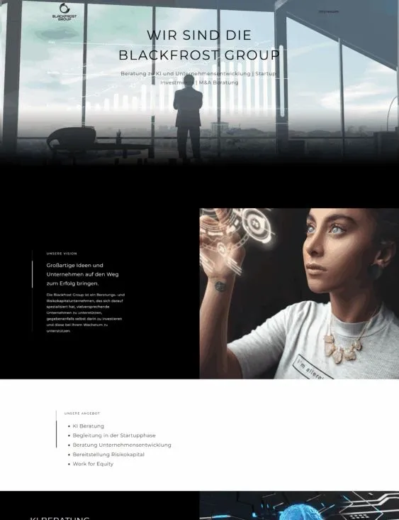 Website von Blackfrost Group